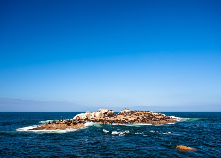 Bloukrans Marathon South African National image 3