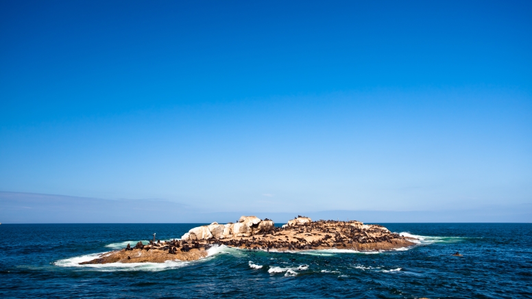 Bloukrans Marathon South African National image 3